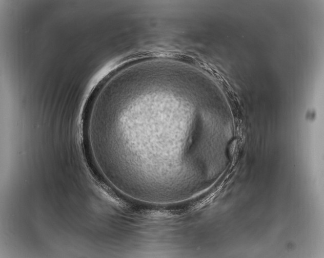 X0000098200246200805011153