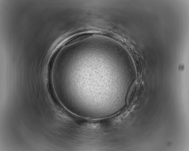 X0000098200247200805011154