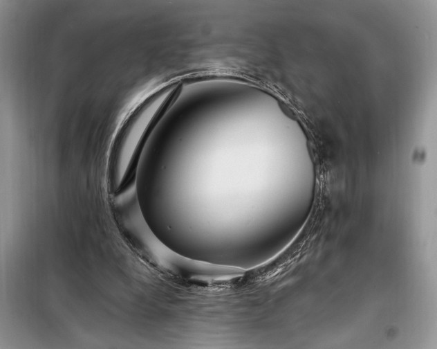 X0000098200248200805011154