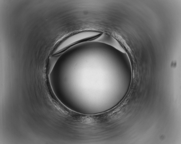 X0000098200249200805011154