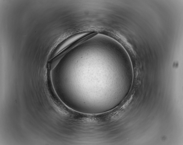 X0000098200250200805011154