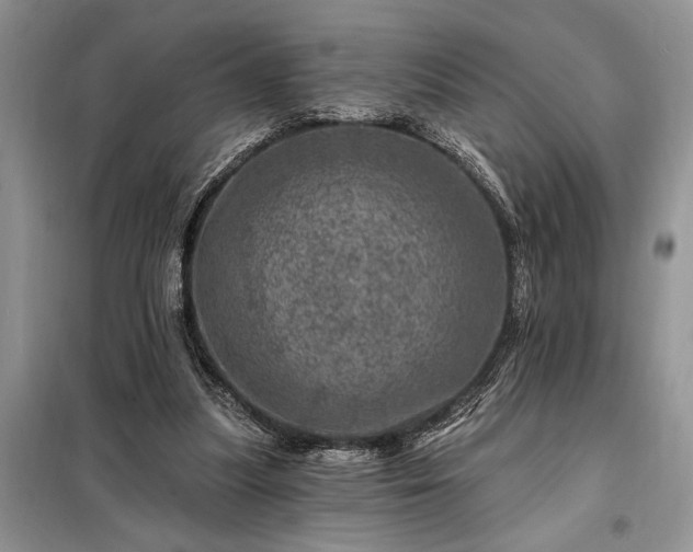 X0000098200251200805011154