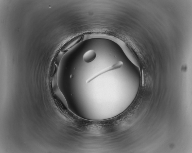 X0000098200252200805011154