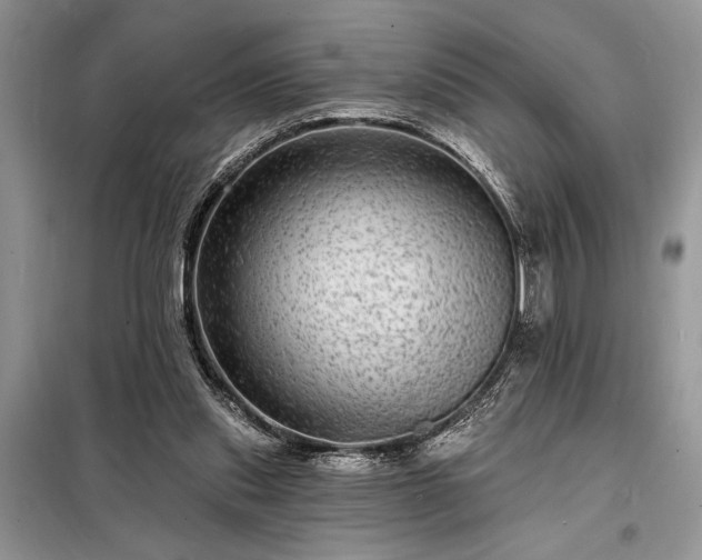 X0000098200253200805011154
