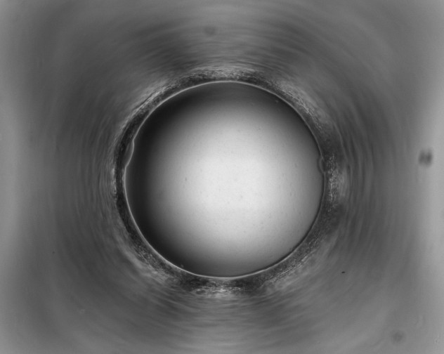 X0000098200254200805011154