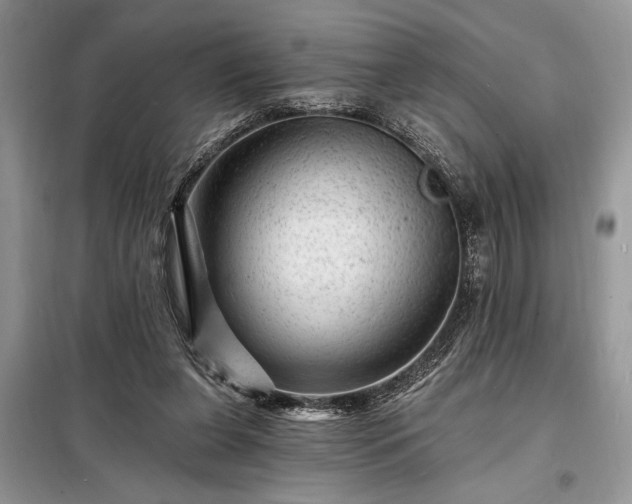 X0000098200255200805011154
