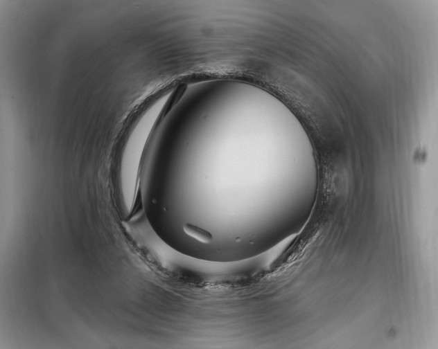 X0000098200256200805011154