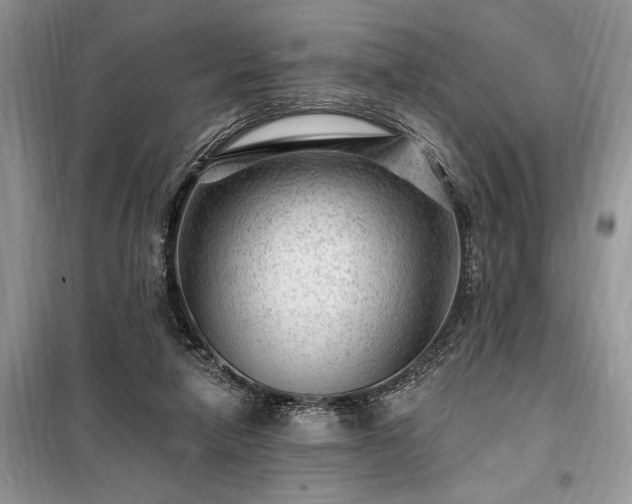 X0000098200258200805011154