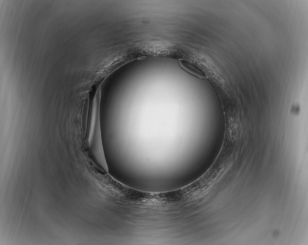 X0000098200259200805011154