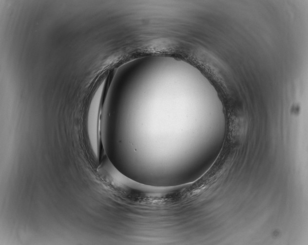 X0000098200260200805011154