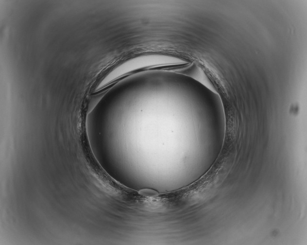 X0000098200261200805011154