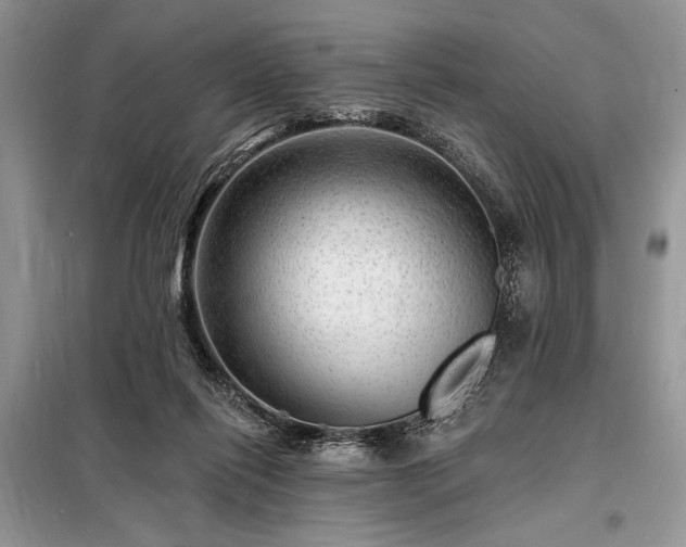 X0000098200262200805011154