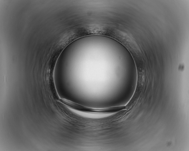 X0000098200263200805011154