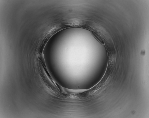 X0000098200264200805011154