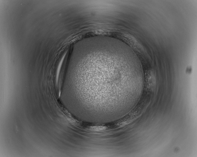 X0000098200266200805011154