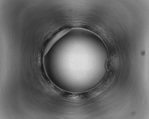 X0000098200267200805011154