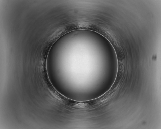 X0000098200269200805011154