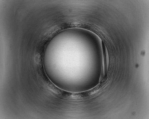X0000098200270200805011154