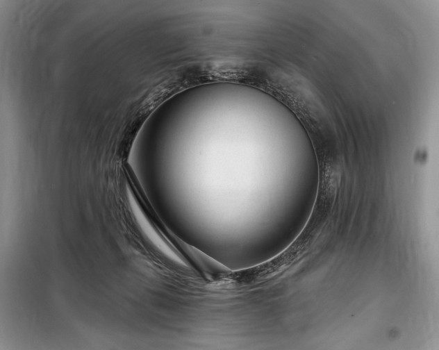 X0000098200271200805011154