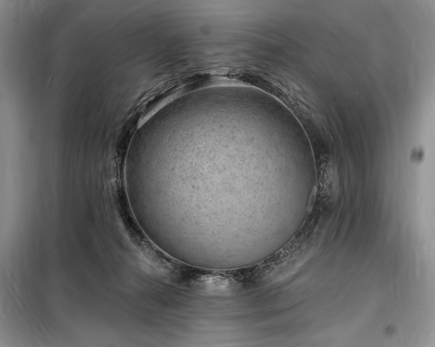 X0000098200272200805011154