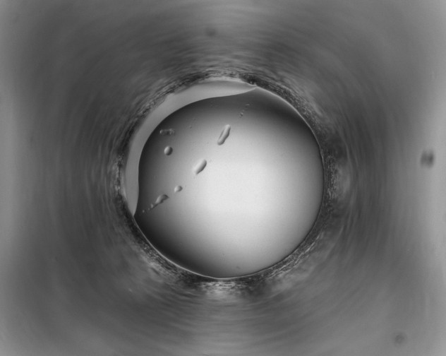 X0000098200273200805011154