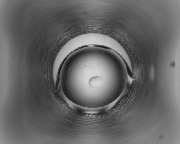 X0000098200276200805011154