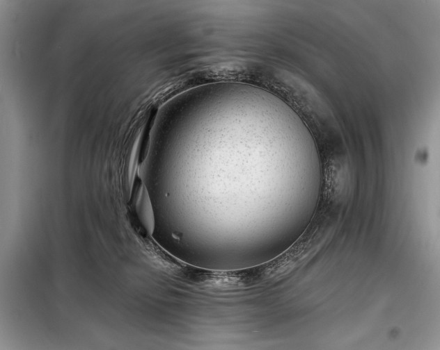 X0000098200278200805011154