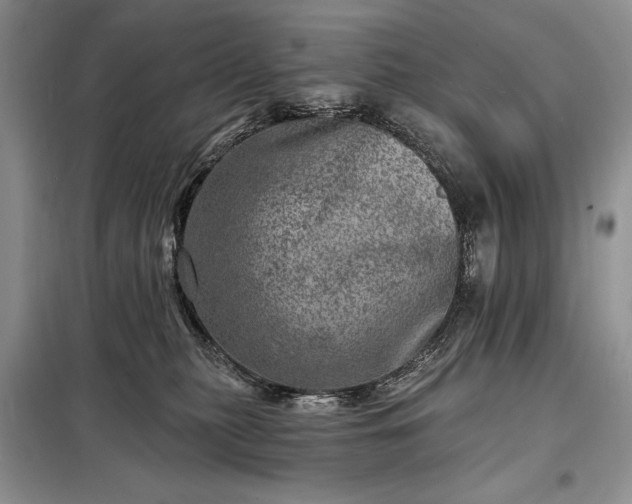 X0000098200279200805011154