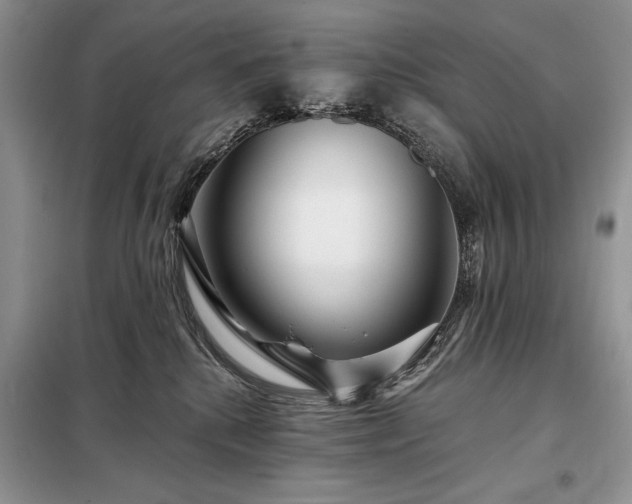 X0000098200280200805011154