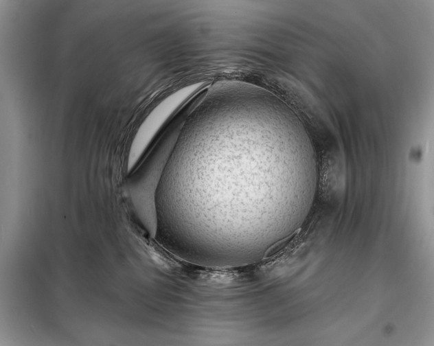 X0000098200282200805011154
