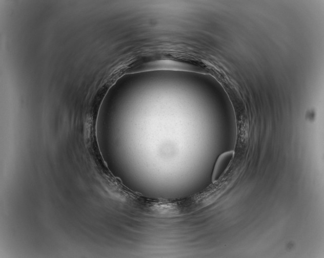 X0000098200283200805011154