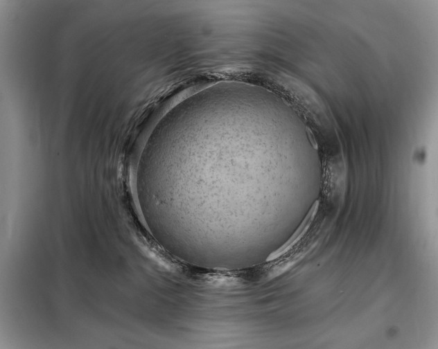 X0000098200284200805011154