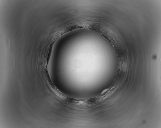 X0000098200285200805011154