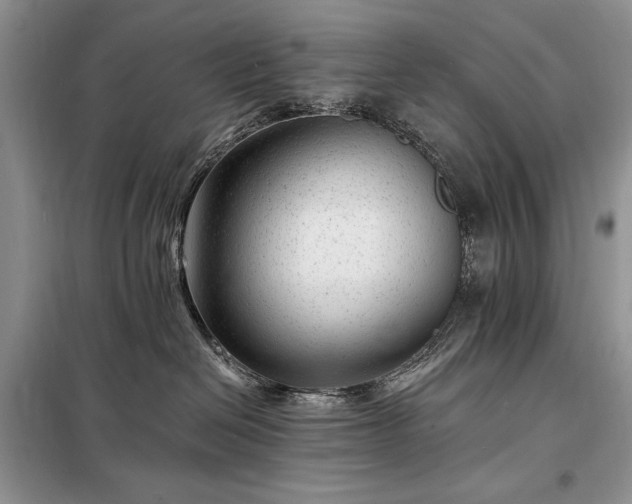 X0000098200286200805011154