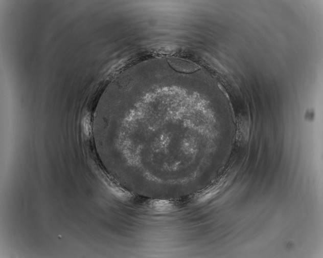 X0000098200287200805011154