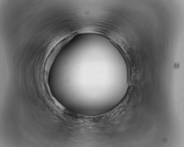 X0000098200289200805011153