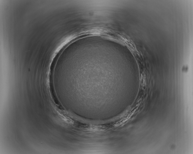 X0000098200292200805011153