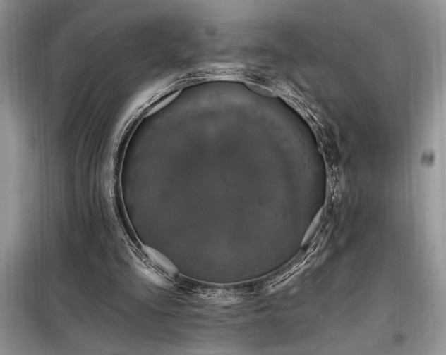 X0000098200293200805011153