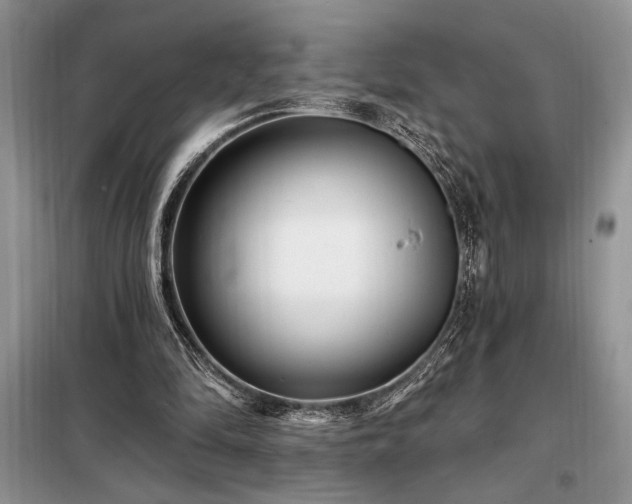X0000098200294200805011153