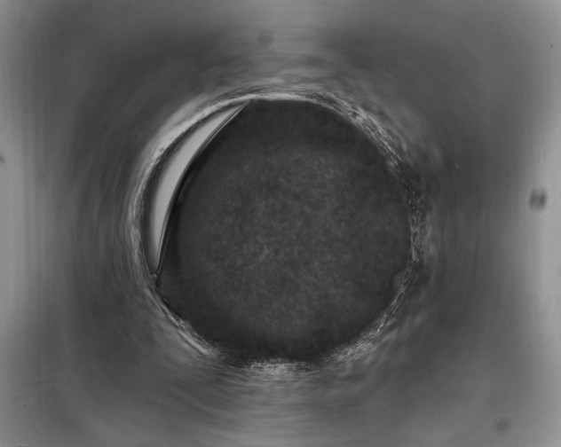 X0000098200295200805011153