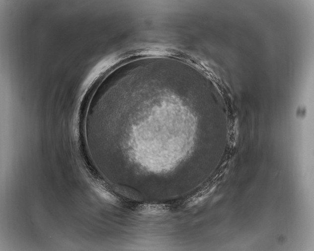 X0000098200296200805011153