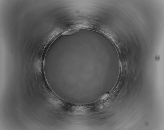 X0000098200297200805011153
