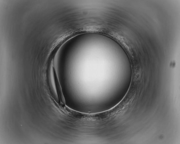 X0000098200299200805011153