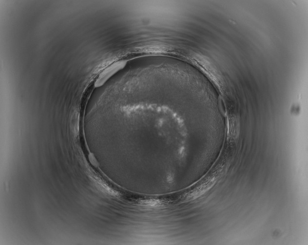 X0000098200301200805011153