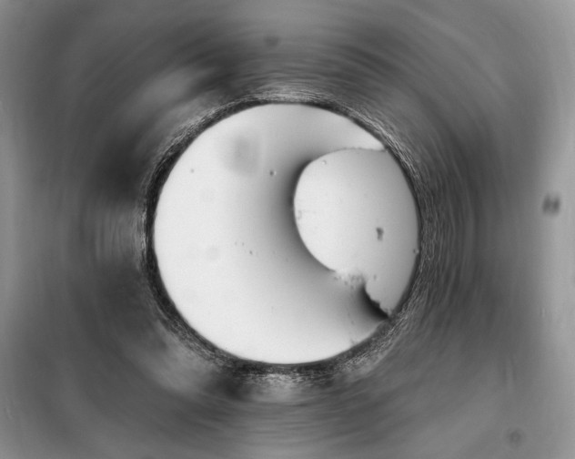 X0000098200302200805011153