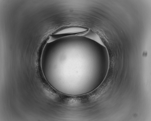 X0000098200303200805011153