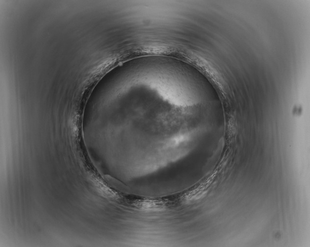 X0000098200305200805011153