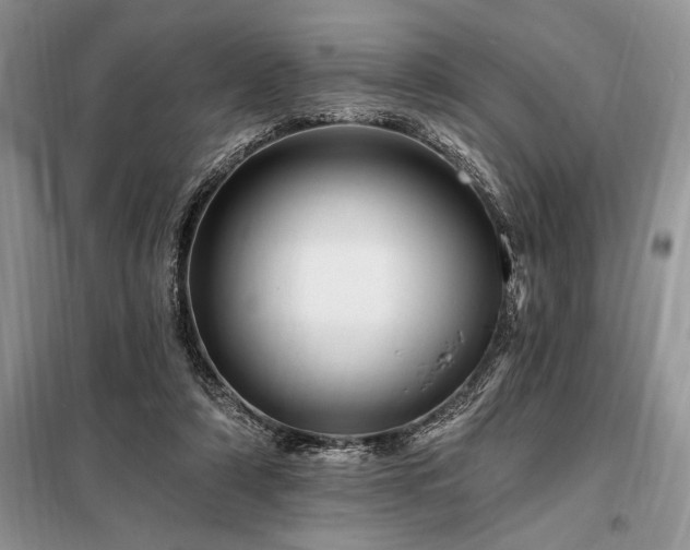 X0000098200306200805011153