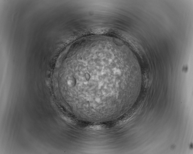 X0000098200307200805011153