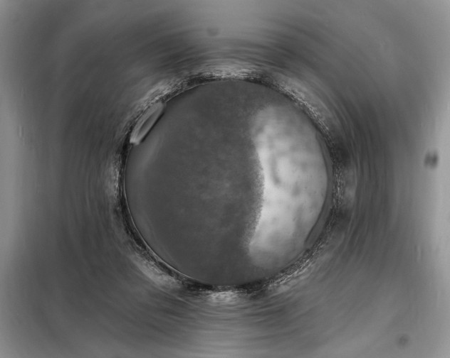 X0000098200309200805011153